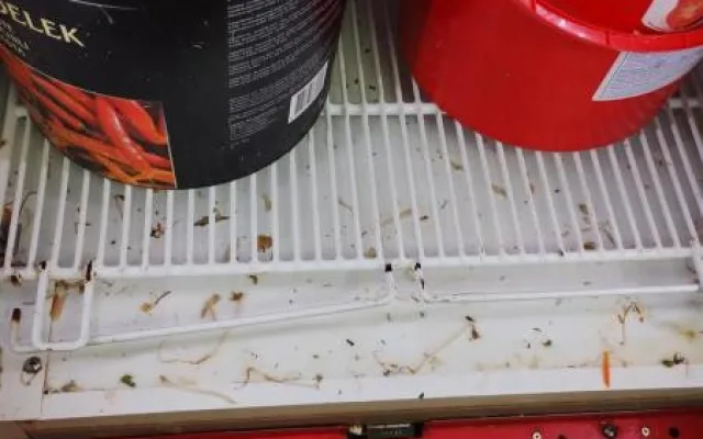 Švábi lezli po zelenině i pytlích s rýží. Hygienici zavřeli asijskou restauraci v IGY