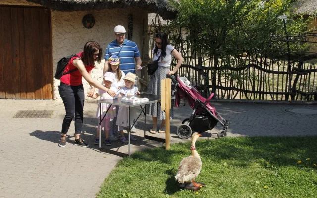 Konec syslů v Čechách? Unikátní akce v Zoo Hluboká představí ohrožené druhy
