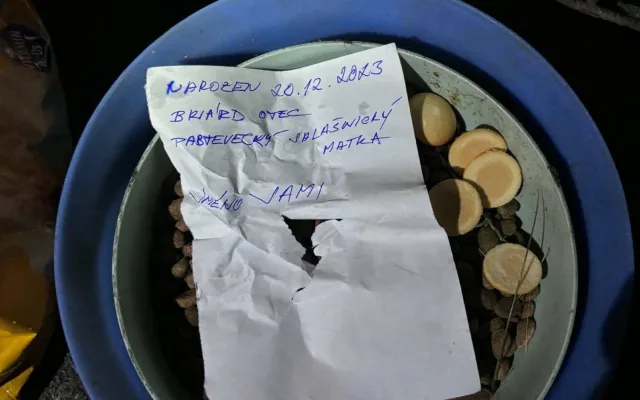 Uvázal psa u zábradlí a odešel. Nechal mu jen granule, deku a vzkaz se jménem