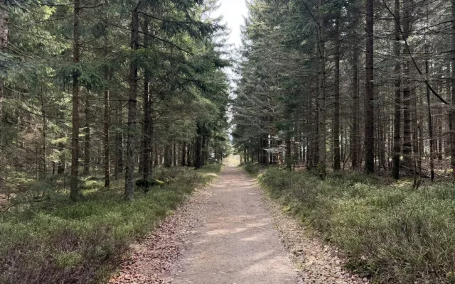 Kolem Lipna vzniká nová poutní cesta. Veřejnost může podpořit její dokončení