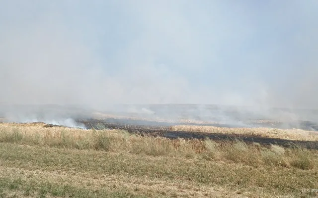 Požár pole na Strakonicku zaměstnal několik jednotek hasičů