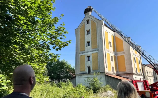 V tropickém vedru okroužkovali čapí mláďata. Pro Černou v Pošumaví šlo o premiéru