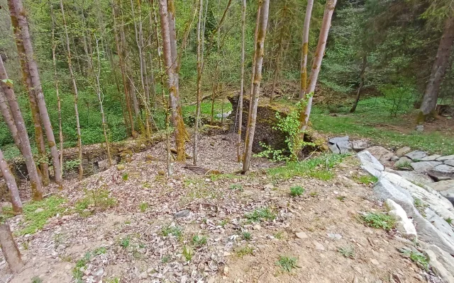 Porůstatky starého mlýna