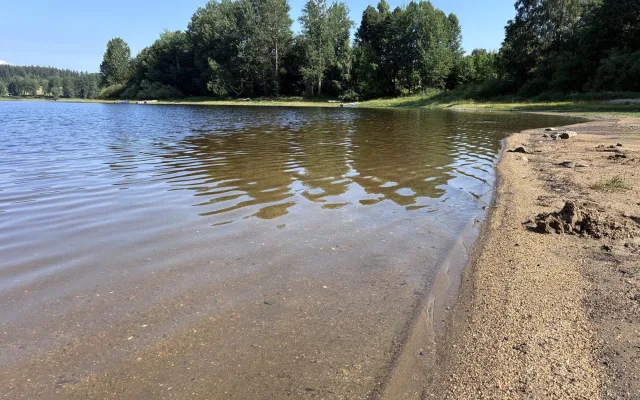 Na Lipně se objevila bochnatka americká. Podivný rosolovitý útvar pobývá jen v čisté vodě