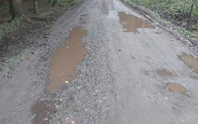 Nový asfalt místo bahna. Lesní cesty v České Kanadě se dočkaly obnovy