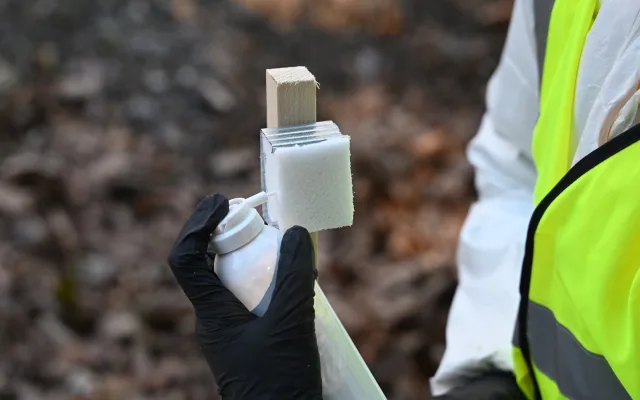 Na kůl se umístí stříška z plechu, která chrání v něm umístěný pachový nosič. Do něj se aplikuje vstřikem pachová látka. Vzhledem k její intenzitě je použití dvojí vrstvy rukavic a speciálního obleku absolutní nutností.