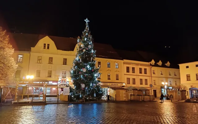 Strom na náměstí v Písku. Foto: Petra Měšťanová