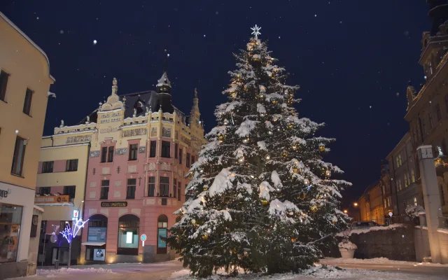 Tento strom zdobí centrum Strakonic. Foto: Markéta Bučoková