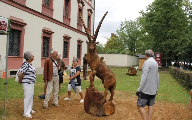 Dřevosochaři před Zoo Hluboká promění dřevo v umění