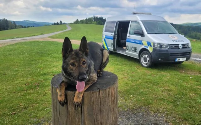 Natáčel si jízdu nákladním vlakem. Policejní pes Sun mladíka vyčmuchal během chvilky