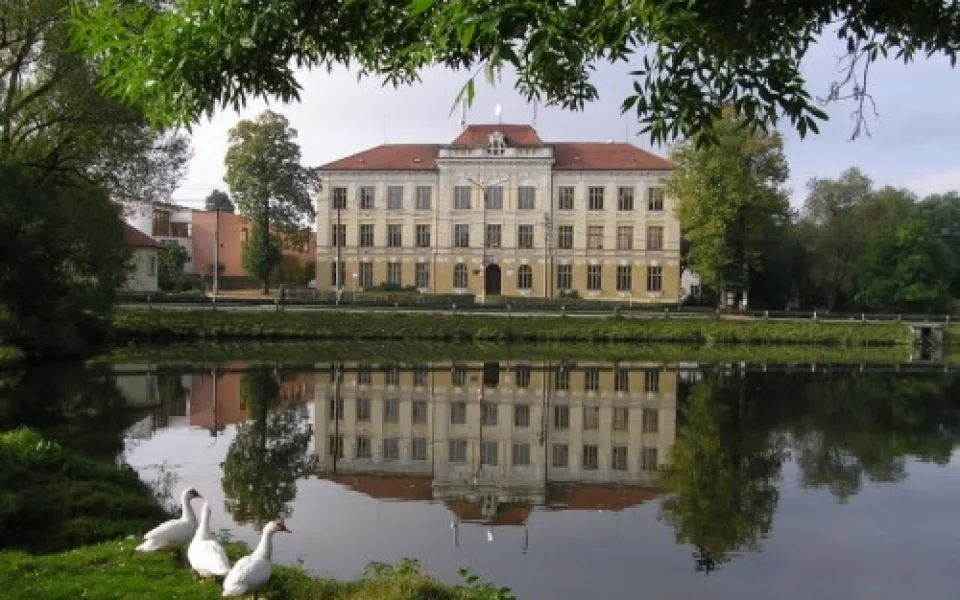 skola