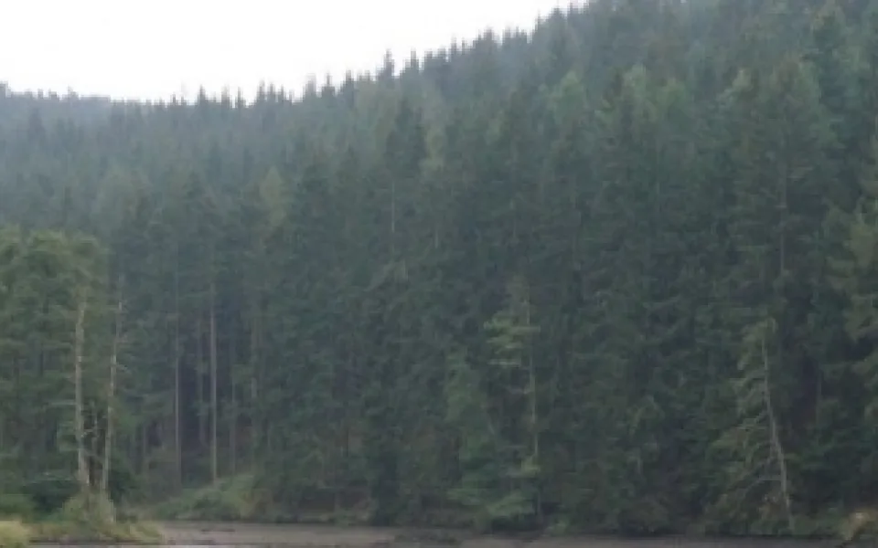 Národní Park Šumava