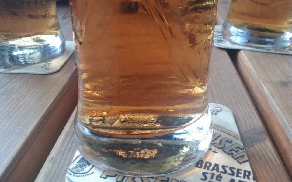 Pivo