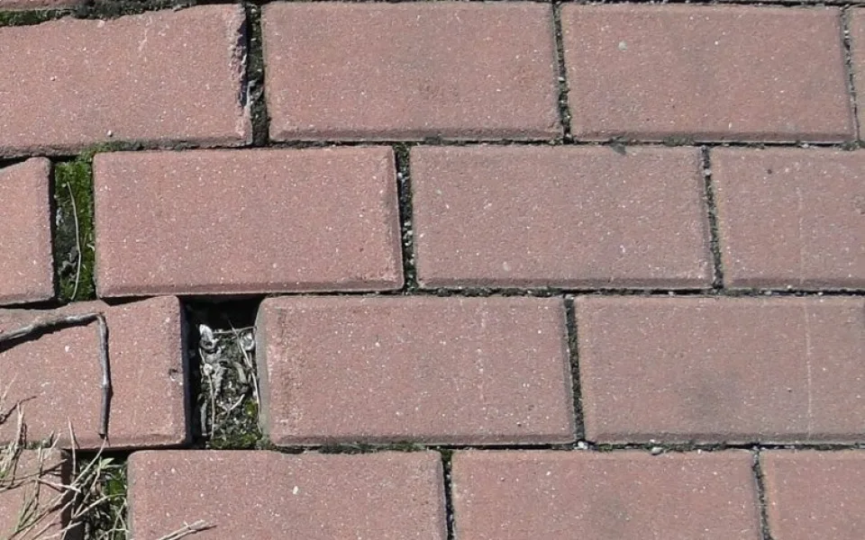 ilustrační foto