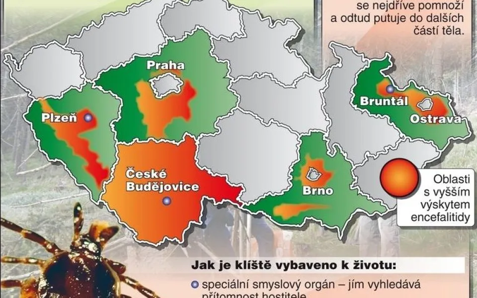 Klíšťová encefalitida