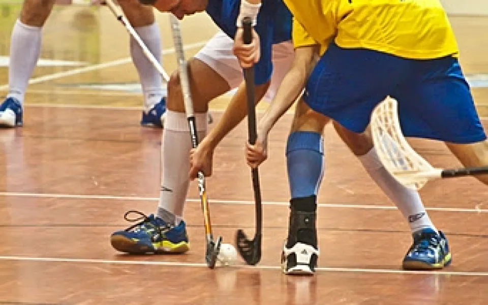 Florbalisté FBC Štíři České Budějovice vs. Pelhřimov
