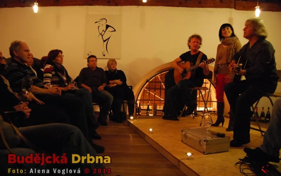 Koncert Pavla Žalmana Lohonky v Solnici