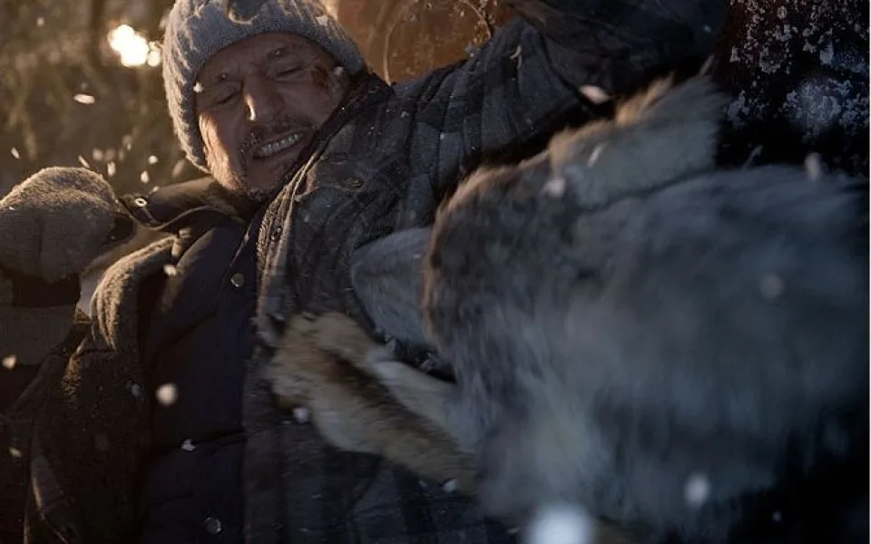 Liam Neeson