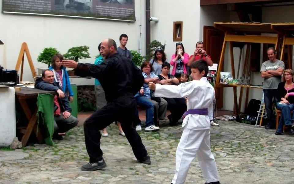Japonské kulturní dny v domě U Beránka