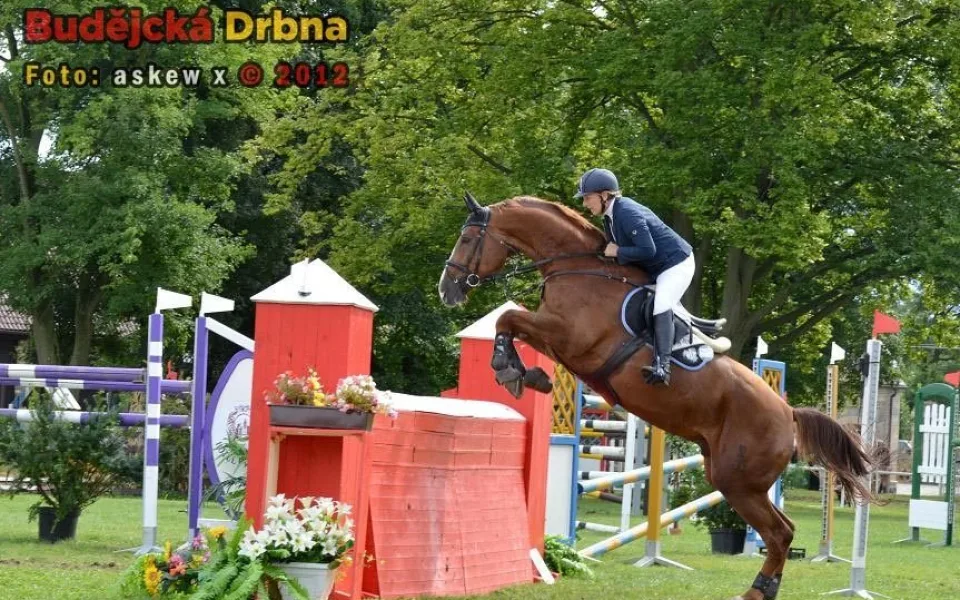 Velká cena Města Hluboká nad Vltavou 2012