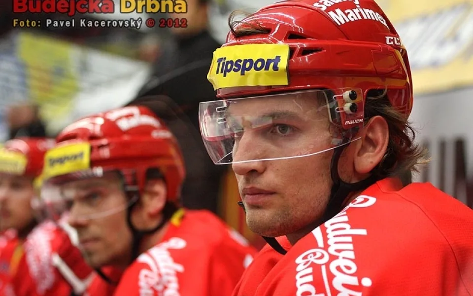 Martin Hanzal