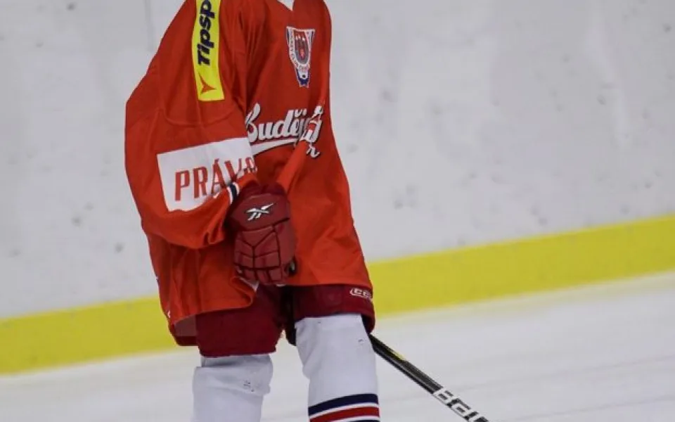 Syn Daniela Fleischmana - Dan mladší