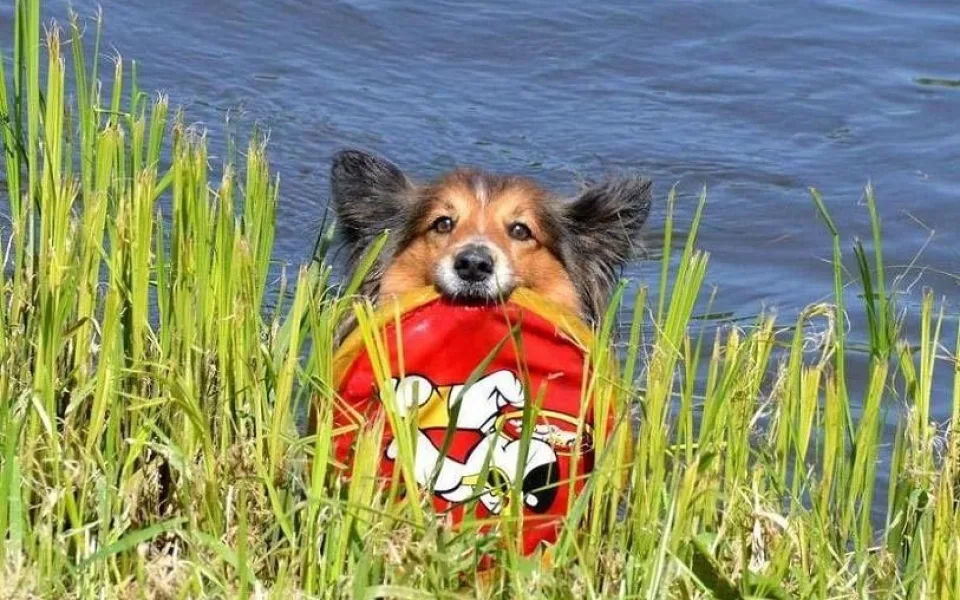 Ilustrační foto