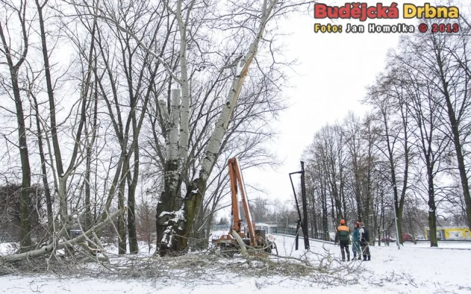 Kácení topolů v parku Na Dlouhé louce