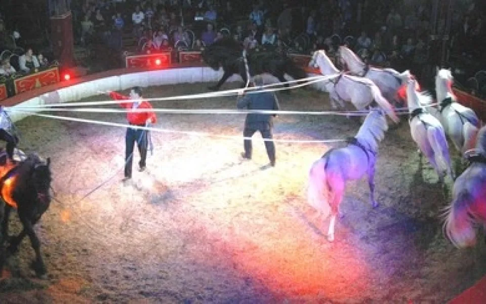 Cirkus Louis Knie