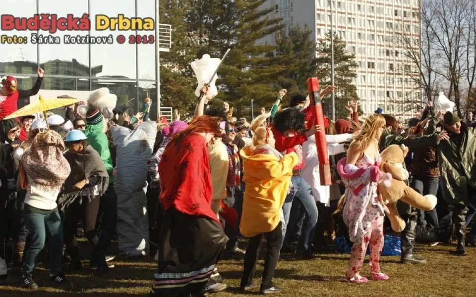 Harlem Shake studentů Jihočeské univerzity