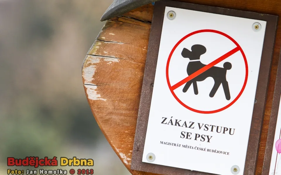 Ilustrační foto