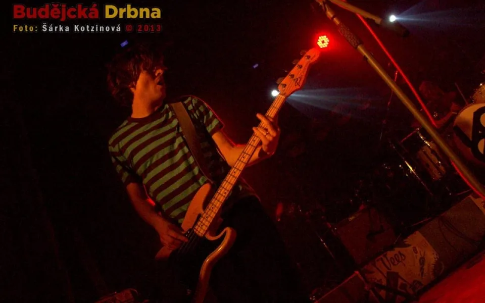 Koncert kapely Vees ve Slavii
