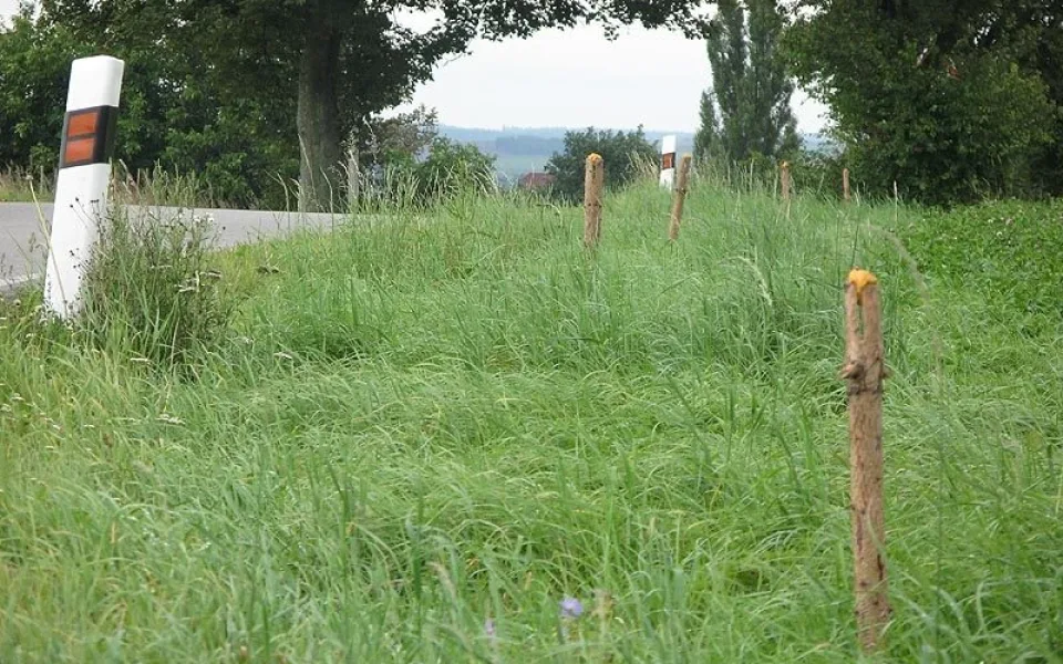 Pachový ohradník
