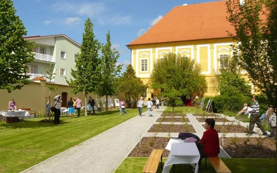 K vidění je osm druhů kanadských borůvek