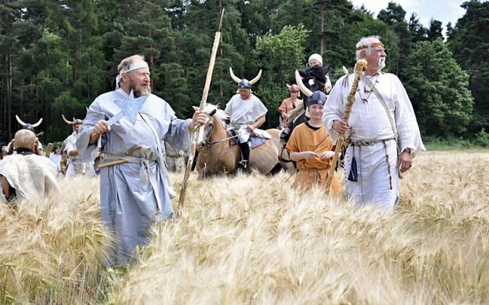 Slavnosti slunovratu v Holašovicích