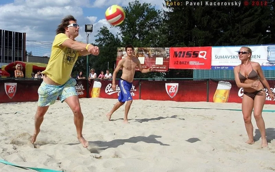 Benefice pro Centrum BAZALKA 2012