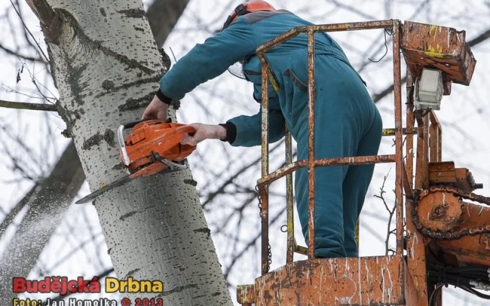 Ilustrační foto
