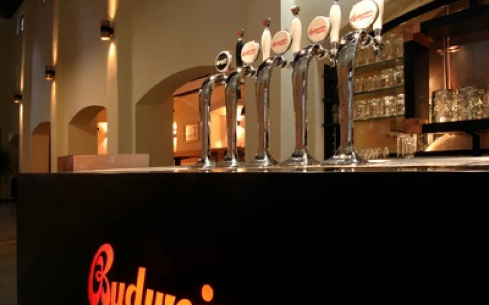 Budweiser Budvar Dark Cherry je k dostání například v Masných krámech