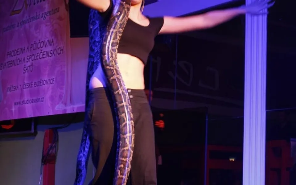 Finálový večer Miss VŠTE 2013