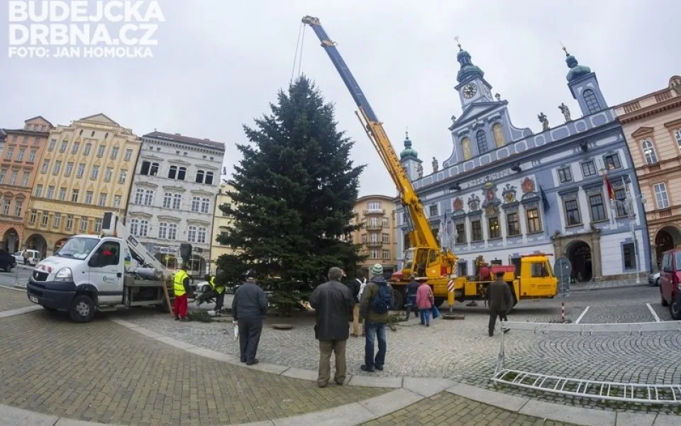 Vánoční strom zmizí z budějckého náměstí Přemysla Otakara II. během úterního odpoledne