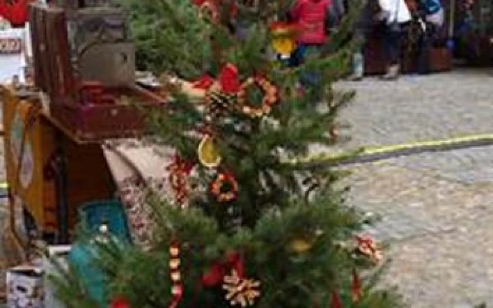 Stromek dětí z MŠ Zeyerova