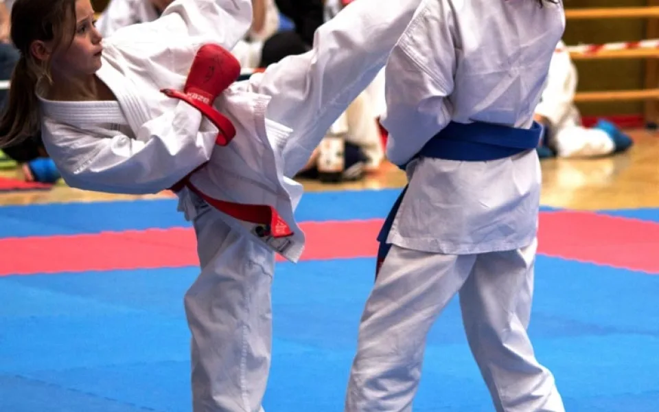 První kolo Krajské ligy pro děti i dospělé v karate v Borovanech