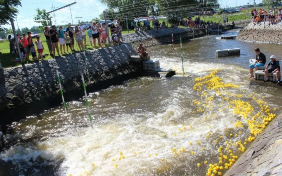 Grand Prix kachničky 2014