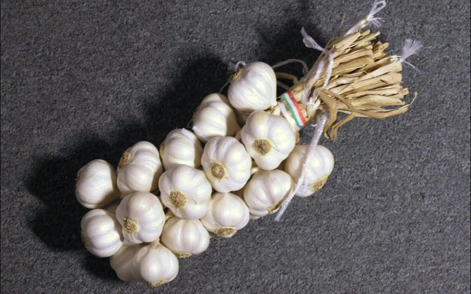 Česnek