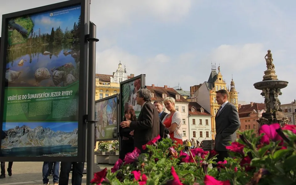 Výstava Biologického centra AV ČR na budějckém náměstí Přemysla Otakara II.