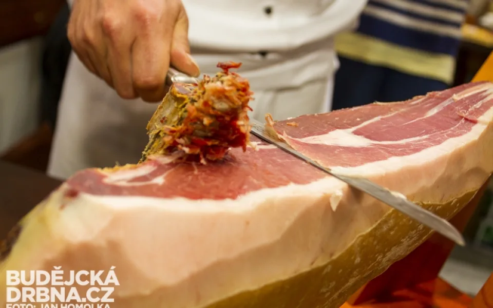 Gastrofest 2013