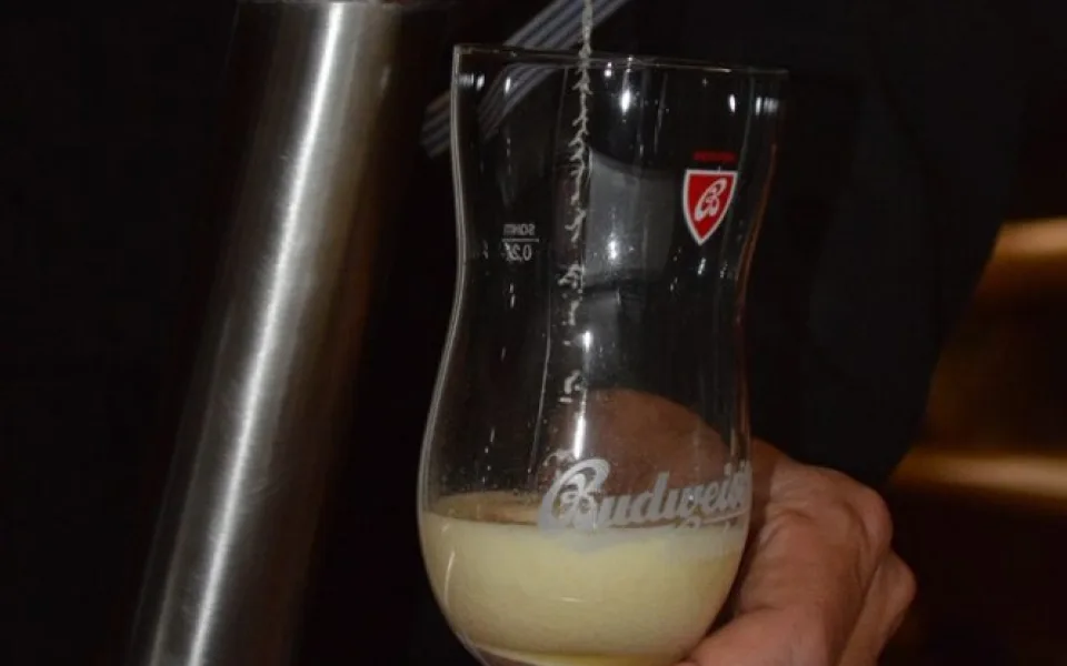 Budweiser Budvar B:Cryo