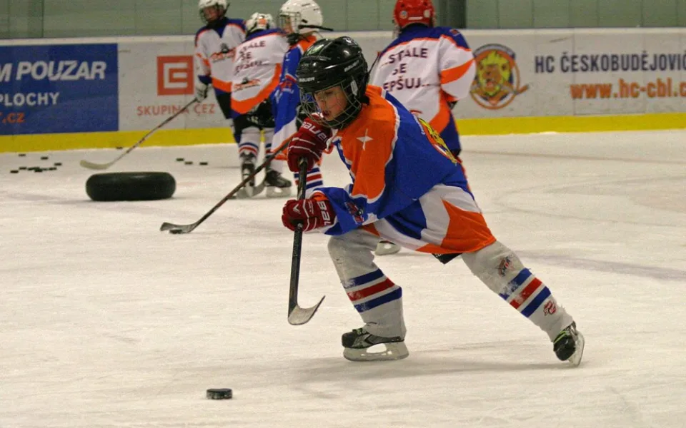 Pouzar Hockey Academy