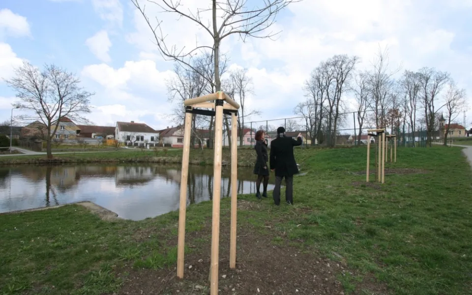 Aleje v Kočíně