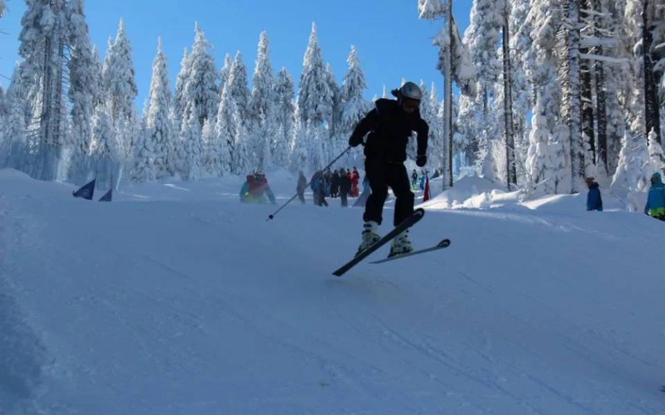 Skicross na Olympiádě dětí a mládeže